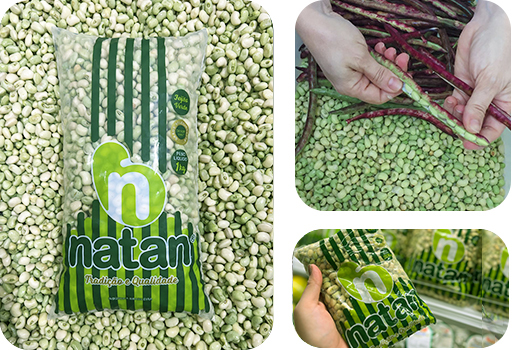 Feijão verde debulhado, selecionado e embalado